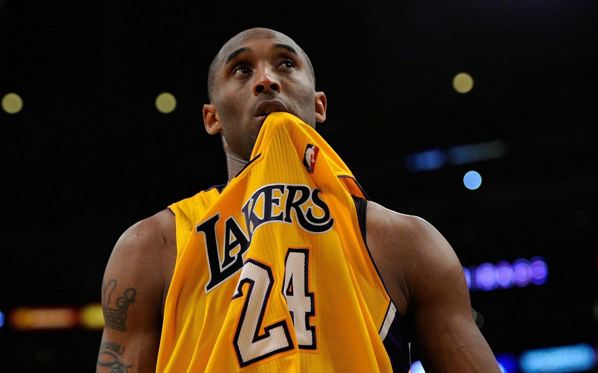 进行身体的 进行身体的